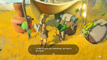 Legend Of Zelda Tears Of The Kingdom Screenshot