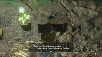 Legend Of Zelda Tears Of The Kingdom Screenshot