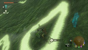 Legend of Zelda Tears of the Kingdom Screenshot