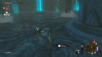 Legend of Zelda Tears of the Kingdom Screenshot