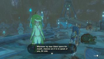 Legend of Zelda Tears of the Kingdom Screenshot