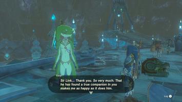 Legend of Zelda Tears of the Kingdom Screenshot