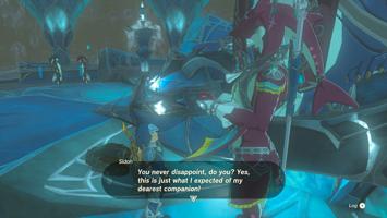 Legend of Zelda Tears of the Kingdom Screenshot