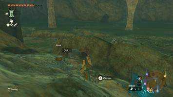 Legend of Zelda Tears of the Kingdom Screenshot
