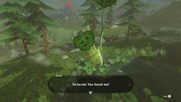 Legend of Zelda: Tears of the Kingdom Screenshot
