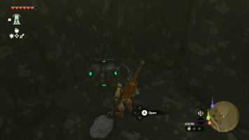 Legend of Zelda: Tears of the Kingdom Screenshot