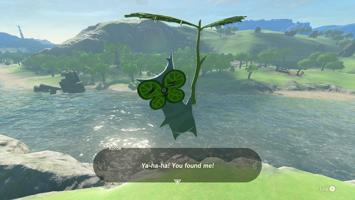 Legend of Zelda: Tears of the Kingdom Screenshot