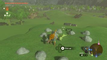 Legend of Zelda: Tears of the Kingdom Screenshot