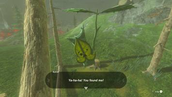 Legend of Zelda: Tears of the Kingdom Screenshot