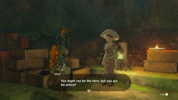 Legend of Zelda: Tears of the Kingdom Screenshot
