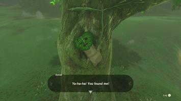 Legend of Zelda: Tears of the Kingdom Screenshot