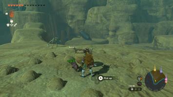 Legend of Zelda: Tears of the Kingdom Screenshot
