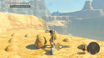 Legend of Zelda: Tears of the Kingdom Screenshot