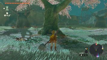 Legend of Zelda: Tears of the Kingdom Screenshot Screenshot