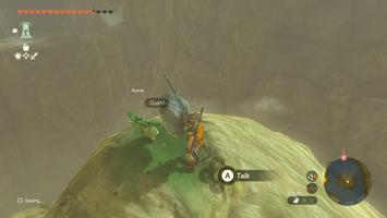 Legend of Zelda: Tears of the Kingdom Screenshot Screenshot