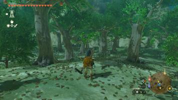 Legend of Zelda: Tears of the Kingdom Screenshot Screenshot
