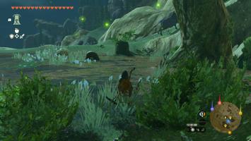 Legend of Zelda: Tears of the Kingdom Screenshot Screenshot