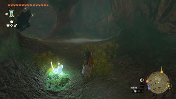 Legend of Zelda: Tears of the Kingdom Screenshot Screenshot