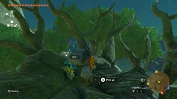 Legend of Zelda: Tears of the Kingdom Screenshot Screenshot