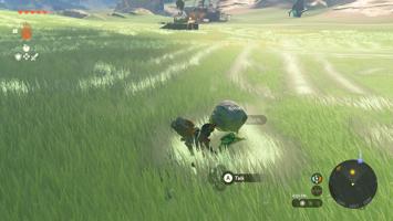 Legend Of Zelda Tears Of The Kingdom Screenshot