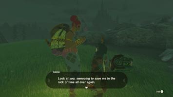 Legend Of Zelda Tears Of The Kingdom Screenshot