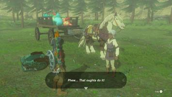 Legend Of Zelda Tears Of The Kingdom Screenshot