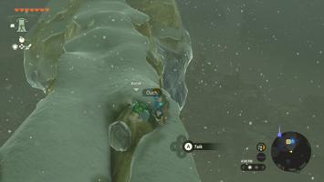 Legend Of Zelda Tears Of The Kingdom Screenshot