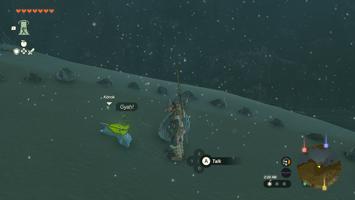 Legend Of Zelda Tears Of The Kingdom Screenshot