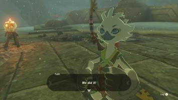 Legend Of Zelda Tears Of The Kingdom Screenshot