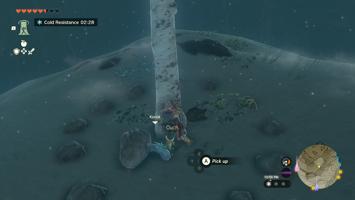 Legend Of Zelda Tears Of The Kingdom Screenshot