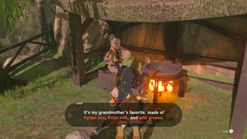 Legend Of Zelda Tears Of The Kingdom Screenshot