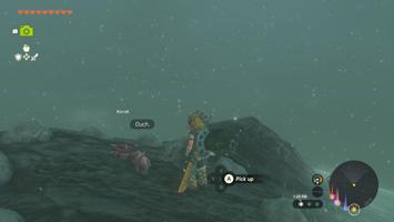 Legend Of Zelda Tears Of The Kingdom Screenshot