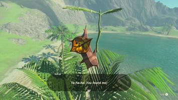 Legend Of Zelda Tears Of The Kingdom Screenshot