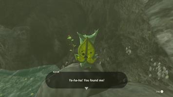 Legend Of Zelda Tears Of The Kingdom Screenshot