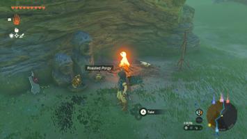 Legend Of Zelda Tears Of The Kingdom Screenshot