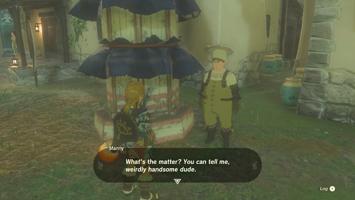 Legend Of Zelda Tears Of The Kingdom Screenshot