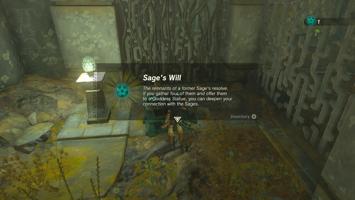 Legend Of Zelda Tears Of The Kingdom Screenshot