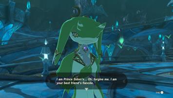 Legend Of Zelda Tears Of The Kingdom Screenshot