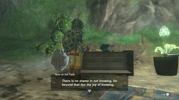 Legend Of Zelda Tears Of The Kingdom Screenshot